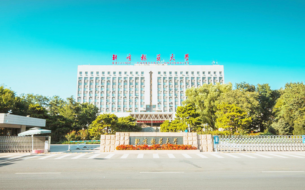 北京林业大学.jpg