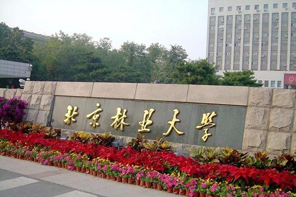 北京林业大学艺术设计学院2020年考研调剂信息公布