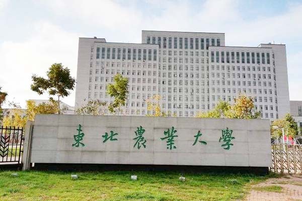 东北农业大学2020年考研调剂信息公告
